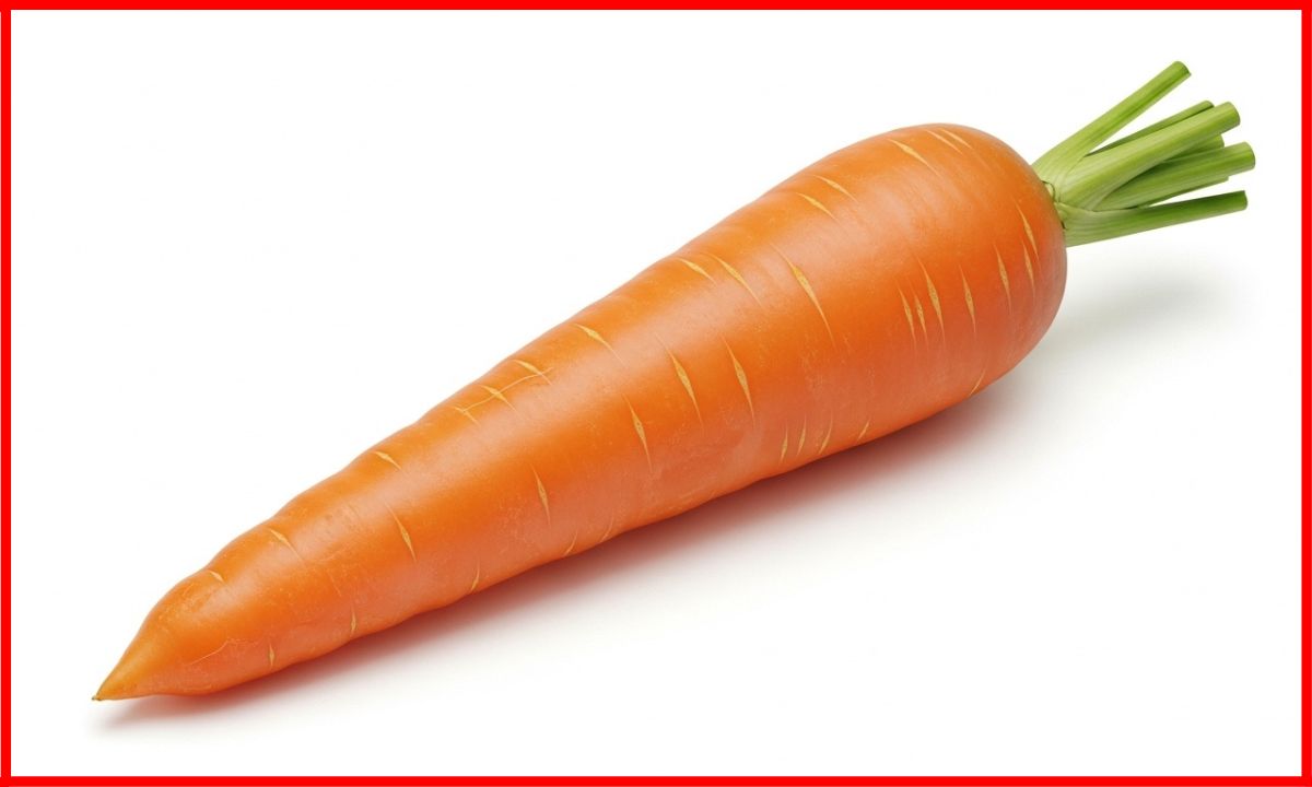 1 Foot Long
